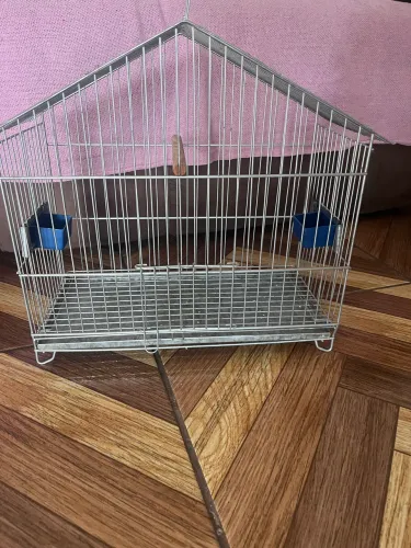 Vendo gaiola de passarinho
