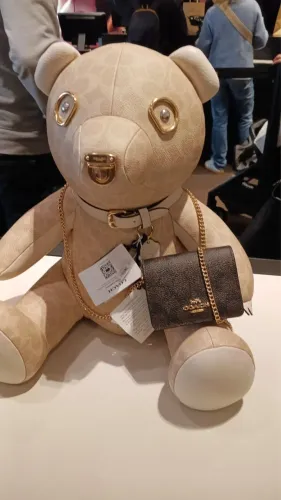 Bolsa carteira Coach (Nova)