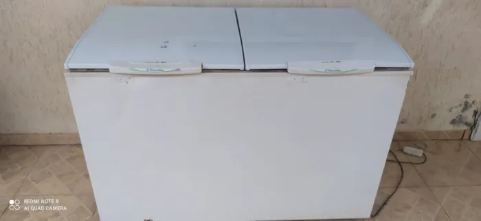 Freezer Electrolux 