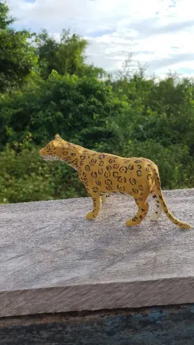 Onça pintada