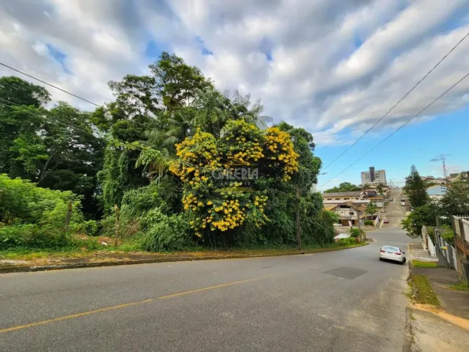TERRENO no FLORESTA com 0 quartos para VENDA, 483 m²