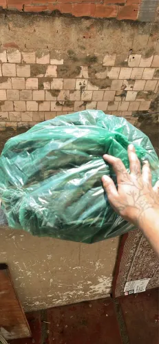 Casaco camuflado