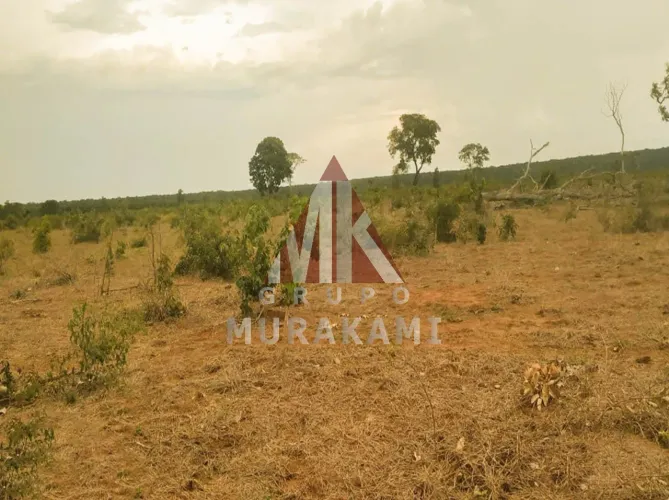 FAZENDA - CAMPO GRANDE - MS