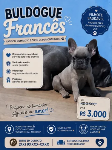 Buldogue francês