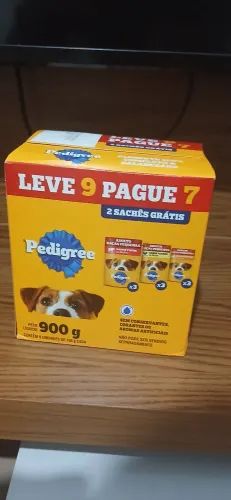 Pedigre Sache 