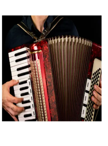 Aulas de Acordeon\Sanfona (e outros)
