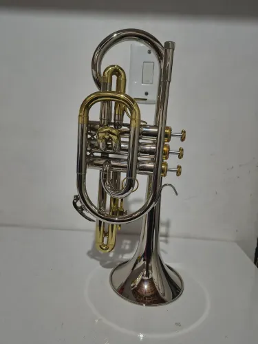 Cornet sib Tokai 