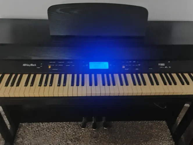 Piano eletrico em excelente condições ,passo cartão em até 12x com juros da maquininha.