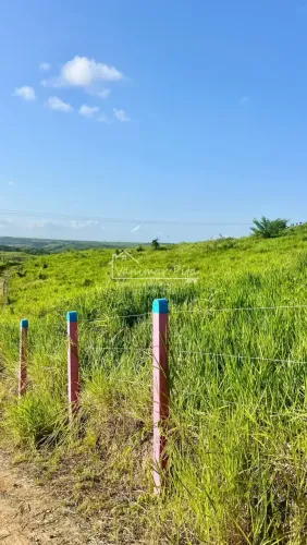 Fazenda em Pilar- AL com 26 hectares na zona da Mata