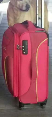 Mala American Tourister P