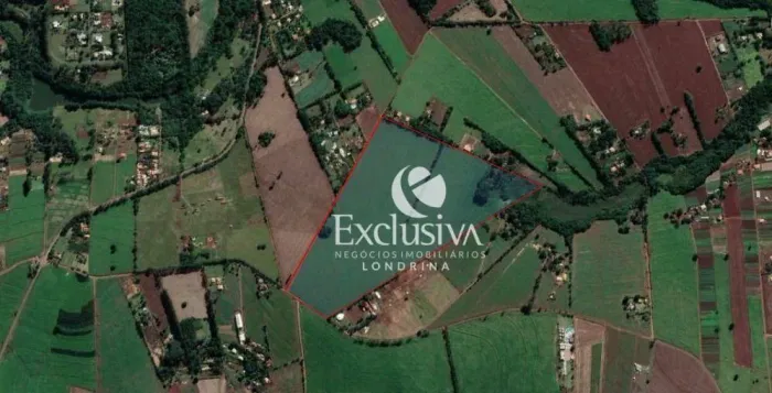 Sítio à venda, 15 alqueires - Estrada da Cegonha - Londrina/PR