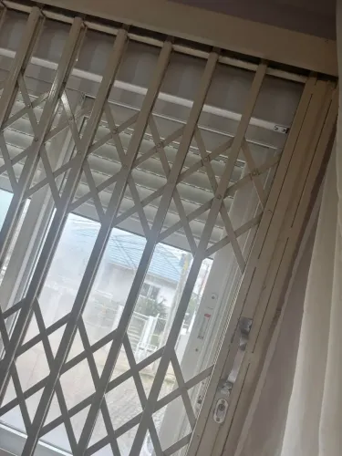 Pantográficas 