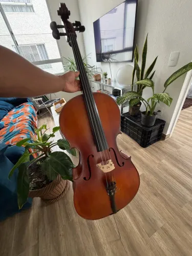 VIOLONCELO EAGLE CE300