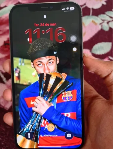 iPhone 12 Pro Max 256GB