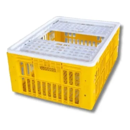 Caixa de transporte para aves 