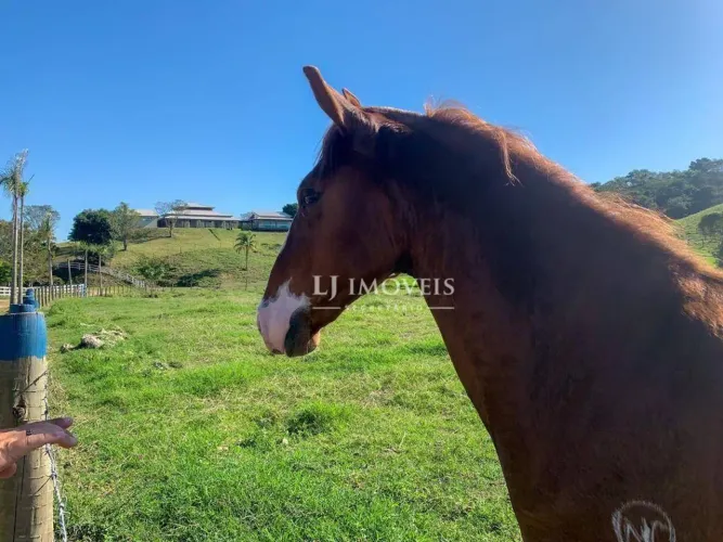 Fazenda/ Haras à venda em Tanguá RJ , 400000 m² por R$ 5.900.000