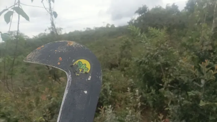 Limpeza pesada em geral desde poda a limpeza de diversões áreas inclusive retirada entus