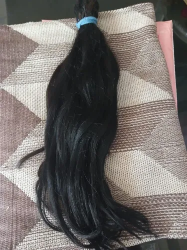 Calebo humano 600 reais comp. 65 cm