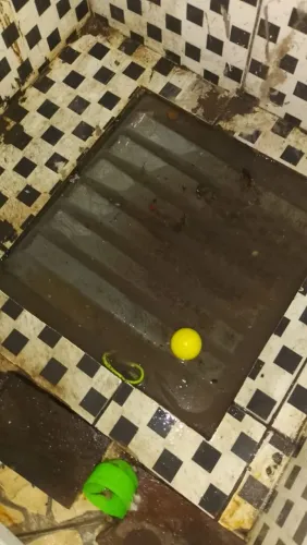 Limpeza Pesada Ronildinha 