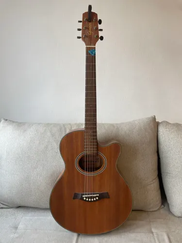 Violão Eletroacústico Giannini Performance 