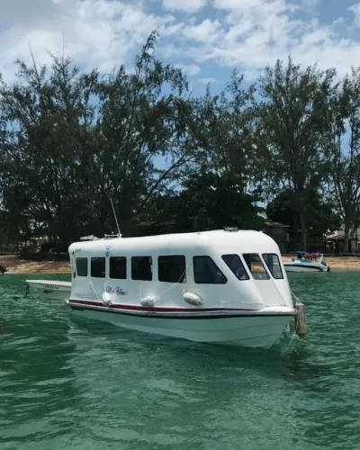 Lancha 29 pés, 29 passageiros, parelha Yamaha 150 HP