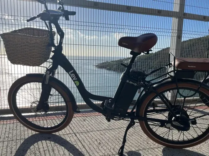 BICICLETA ELETRICA LEV