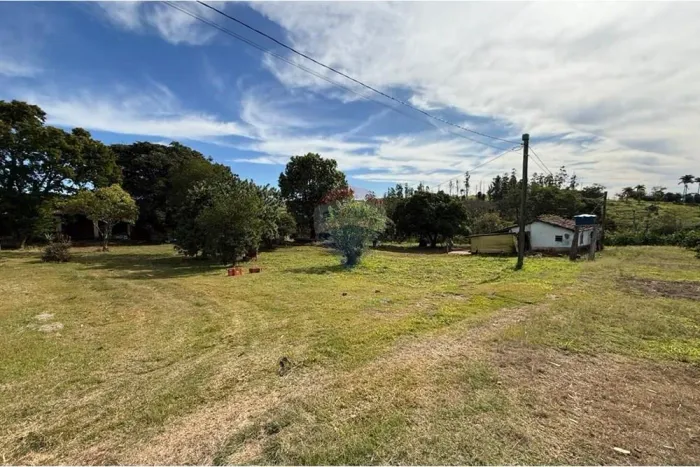 Sitio de 66.000m2 em alta produção de limão
