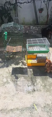 Vendo Gaiolas