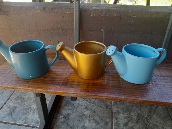 Vasos de flores ?