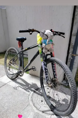 BICICLETA ARO 29