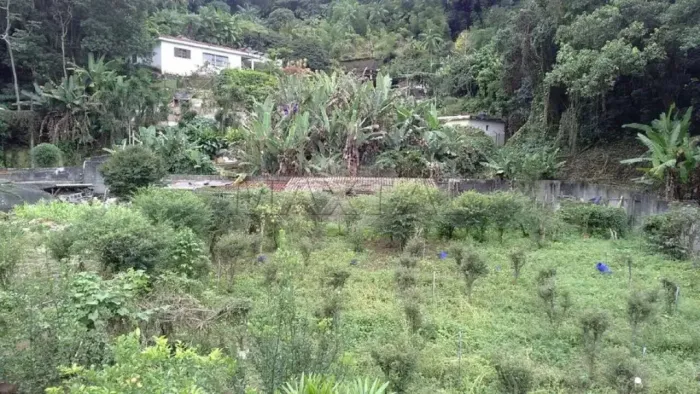 Terreno à venda de 2500m² , com 50 metros de frente por 50 de fundos Horto Florestal.