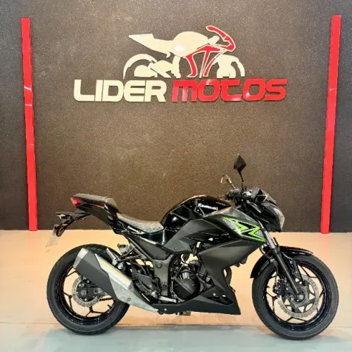Kawasaki Z 300 2019