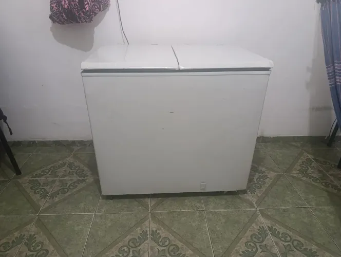 Freezer horizontal 303L duas portas 
