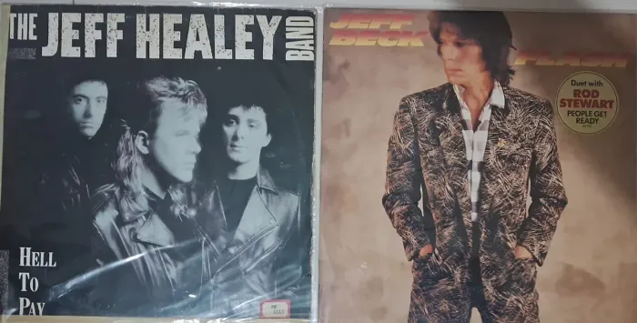 Vendo 2 discos de vinil