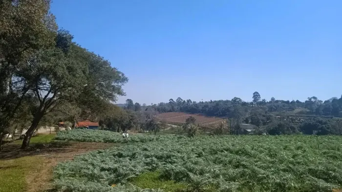 SÃO ROQUE; Oportunidade de FONTE DE RENDA ou LAZER; 5.000m2 - Venha Fazer Parte do Roteiro