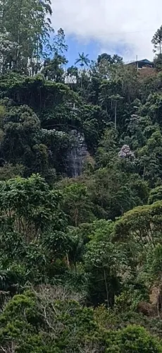 Sitio Tijuco, VISTA PARA NATUREZA PANORÂMICA, parcelo, troco, financiamento próprio,
