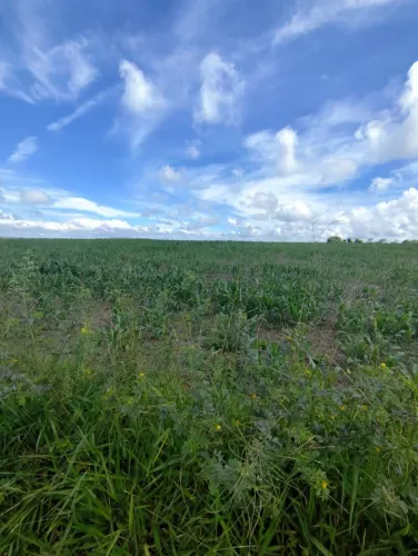 10 alqueires em Silvania só R$ 2.500.000