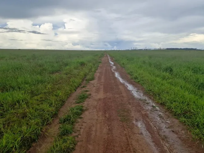 Fazenda de arrendamento total 10. Mil hec, libera 1.500 por ano, em Juara MT. Argila 40%