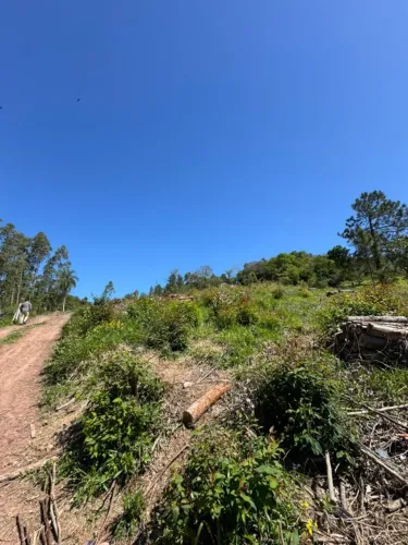  Sítio com luz e internet Taquara/RS / Pega Fogo / 4 km da RS 020