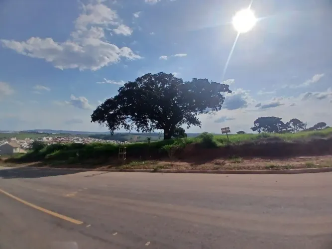 Dois terrenos 600m em avenida no Porto Principe