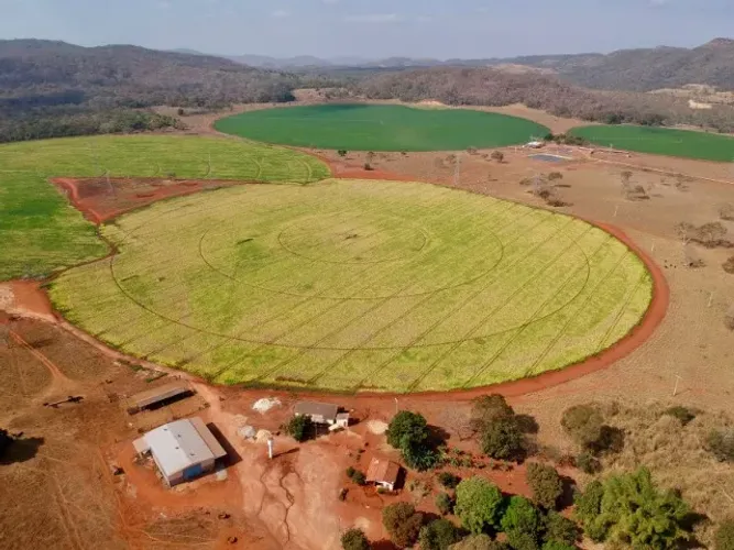 Fazenda Recanto da Sucupira-Gleba 06 em Paracatu-MG - 125 Hectares R$ 12.000.000,00