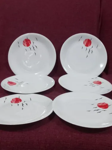 Vendo conjunto de 6 pratos rasos de porcelana Renner
