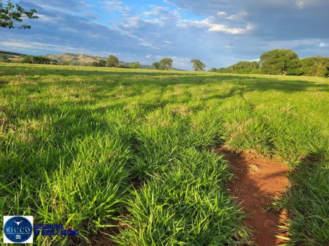 Fazenda à Venda em Itaguari - Goiás | 9 Alqueires com Córrego
