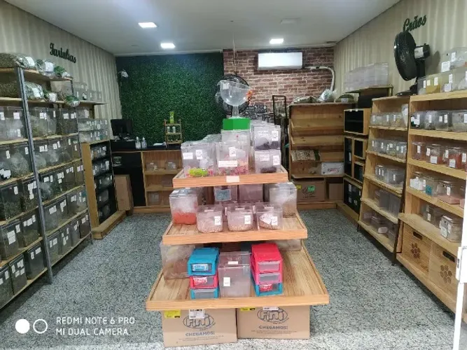 Móveis de Loja de Produtos Naturais e caixas de acrílico expositores de madeira