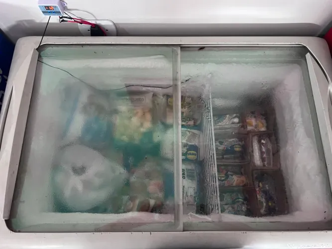 Freezer tampa de vidro 