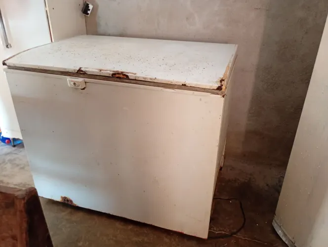 Freezer
