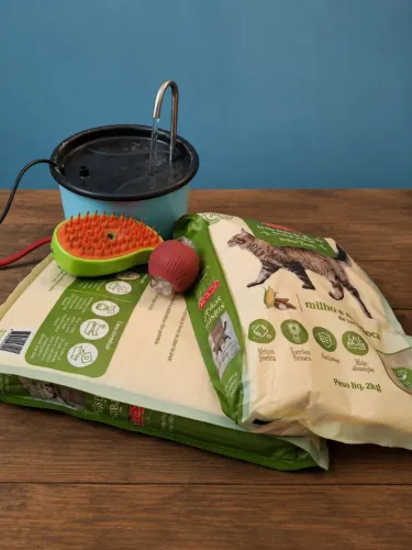 Kit Completo Para Gatos