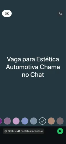 Estética Automotiva 