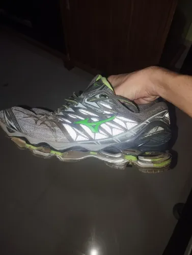 Mizuno prophecy 7