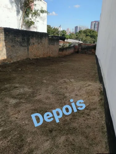 Rossagem lote
